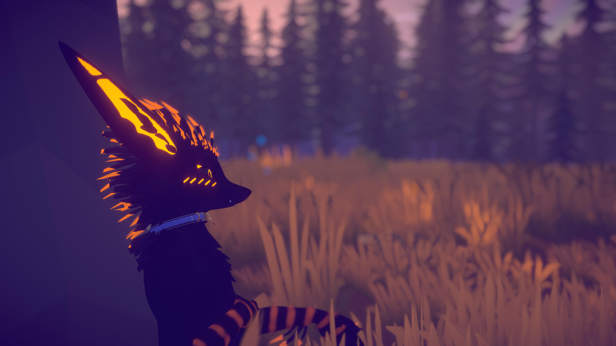 I actually never named this one, the files just say &quot;Meow&quot;